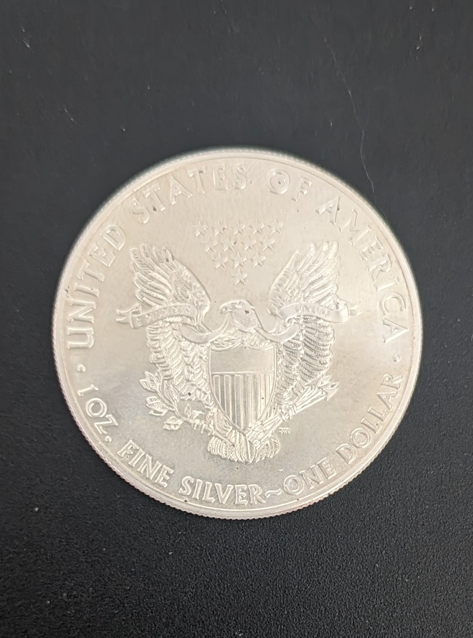 (image for) 2013 Silver Eagle 1 Ounce Round Pocket Piece